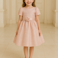 Lovely Pink Dress 5222