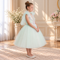 Ruby Dress Baby pink 24201