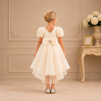 Champagne Rosette Puff-Sleeve Heart-Bow Dress 3356 - back