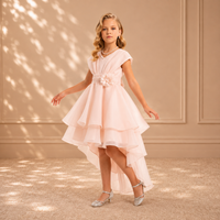 Blush Tiered High-Low Organza Dress 3482 - front