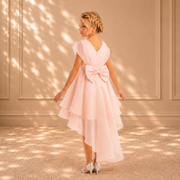 Blush Tiered High-Low Organza Dress 3482 - back