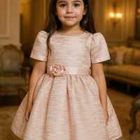 Lovely Pink Dress 5222