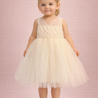 Golden Tulle Princess Baby Dress 6112