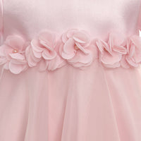 🌸Blush Pink Garden Princess Dress 36392