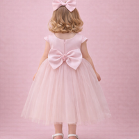 Baby Pink Dress 416