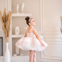 Vanessa Dress OZL 23004