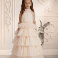 ✨ Peach Royale Gown ✨19206