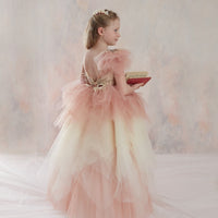 Lovely Luxury Dress 19201