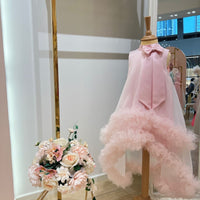 Fancy Pink Dress 23M90