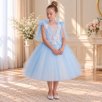 Ruby Dress Sky blue 24201