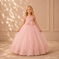 Blush Lace Bodice Tulle Ball Gown 3102 - front