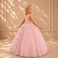 Blush Lace Bodice Tulle Ball Gown 3102 - back