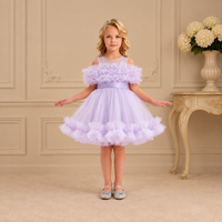 Lavender Ruffle Off-Shoulder Tutu Dress 3410 - front
