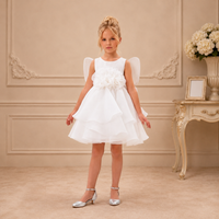 Ivory Angel-Wing Floral Tulle Dress 3488 - front