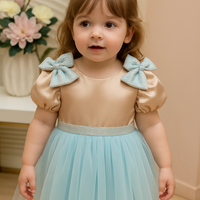 Lovely Girls Dress PP2507