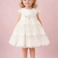 Lovely Ivory Dress BG 504