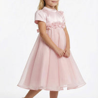 🌸Blush Pink Garden Princess Dress 36392