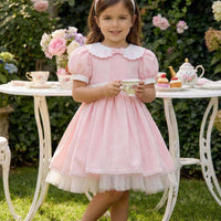 💗Pink Vintage Garden Baby Dress 💗36371