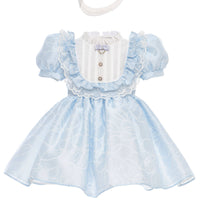 🤍Powder Blue Garden Lace Baby Dress 🤍 36445
