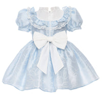 🤍Powder Blue Garden Lace Baby Dress 🤍 36445