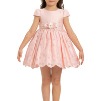 Lovely Pink Baby Dress 35331
