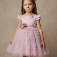 Lovely Violet Dress 310