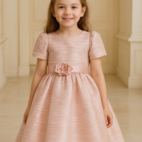 Lovely Pink Dress 5222