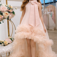 Fancy BlushDress 26090