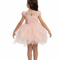 Lovely Pink Baby Dress 35068