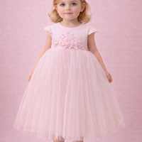 Baby Pink Dress 416