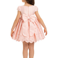 Lovely Pink Baby Dress 35331