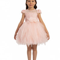 Lovely Pink Baby Dress 35068