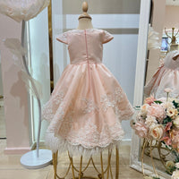 Veronica Pink Dress 23M87
