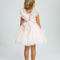 Girls Lovely pink Dress 2910