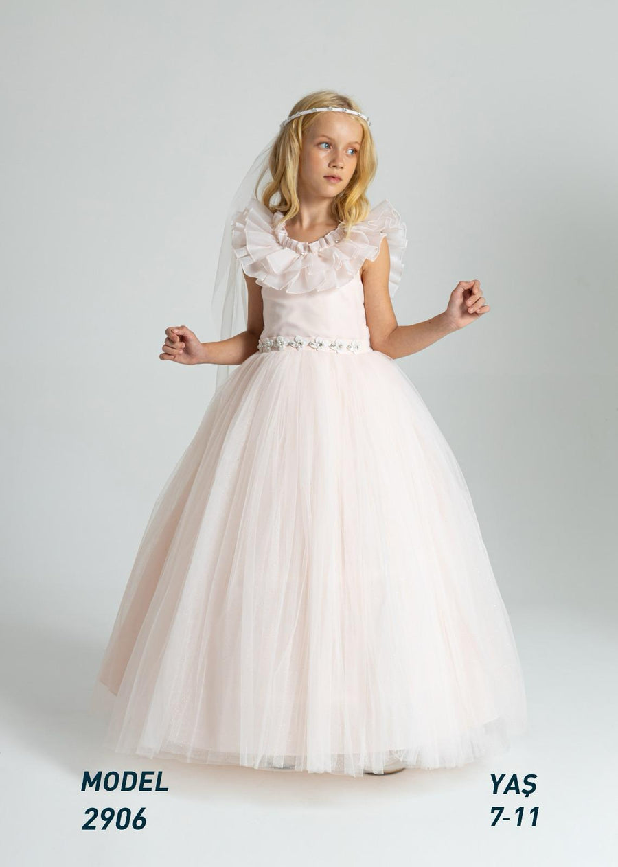 Luxury Long Pink Dress 2906