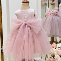 Lovely Pink Dress 4118