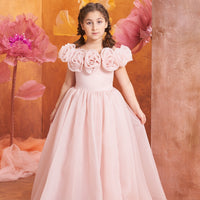 A girl wearing a pink dress with a full skirt, short sleeves, standing in front of a backdrop with large flowers.