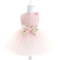 Lovely Pink Girls Dress 18309