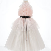 Pretty Pink Dress 21110