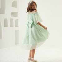Lovely Elegant pistachio Dress 2308